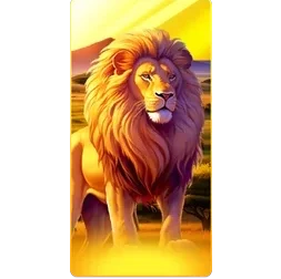 Lion
Safari